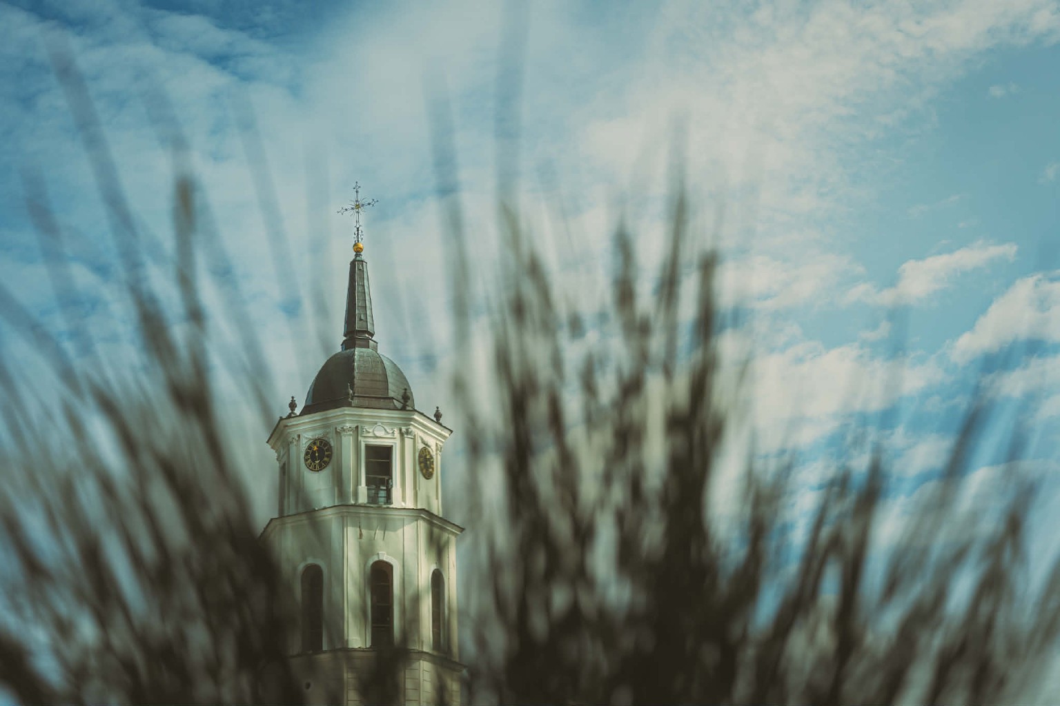 A Vilnius bell tower framed by softly blurred grasses against a pale cyan sky